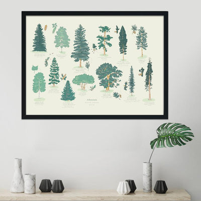 Canadian Arboretum Art Print