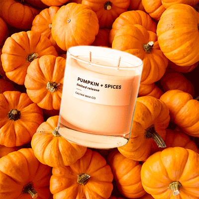 Pumpkin + Spices Soy Candle | Limited Release