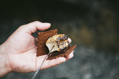 Cocoa Espresso S'mores Kit