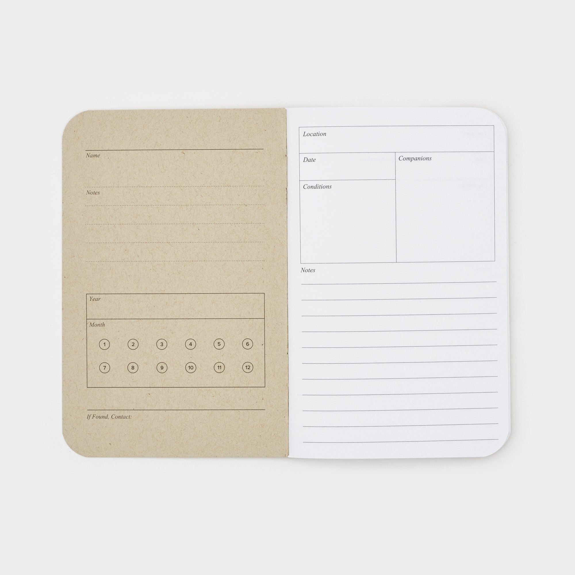 The Adventure Log - Yellow (3 Pack)