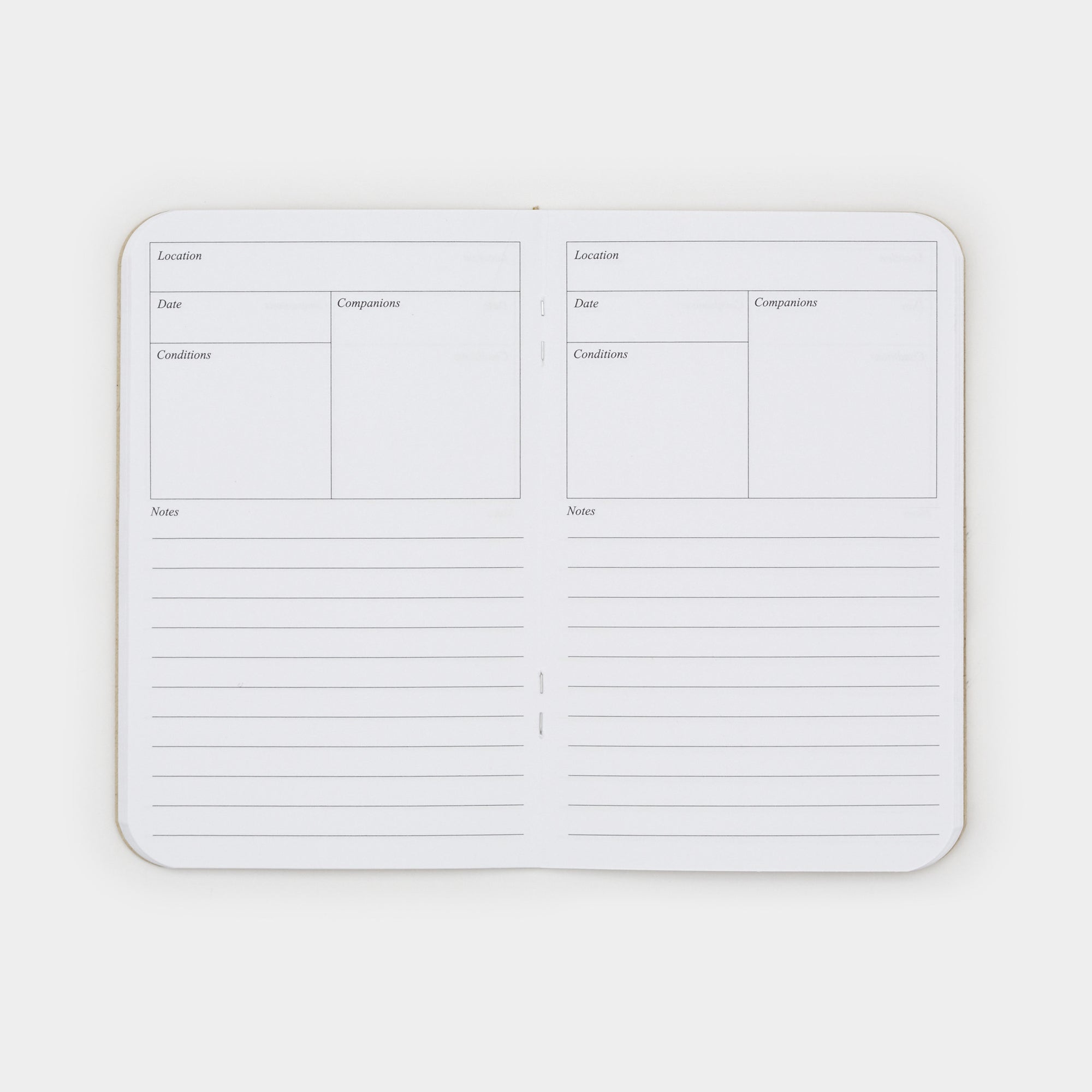 The Adventure Log - Yellow (3 Pack)