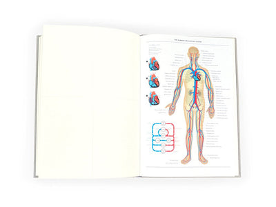 Grids & Guides: A Notebook for Visual Thinkers - Gray