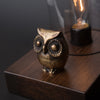 Touch Sensor Lamp - Owl Edison