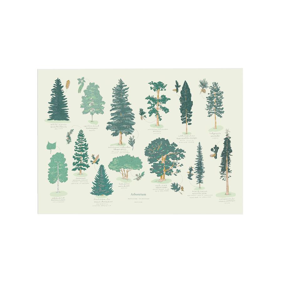 Canadian Arboretum Art Print