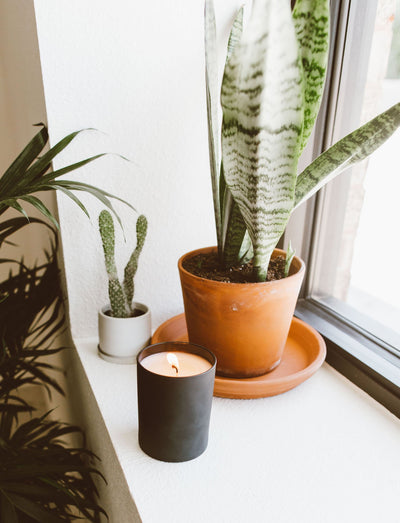 Lavender + Bergamot Black Tumbler | Limited Release