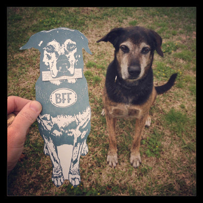 BFF Dog Card